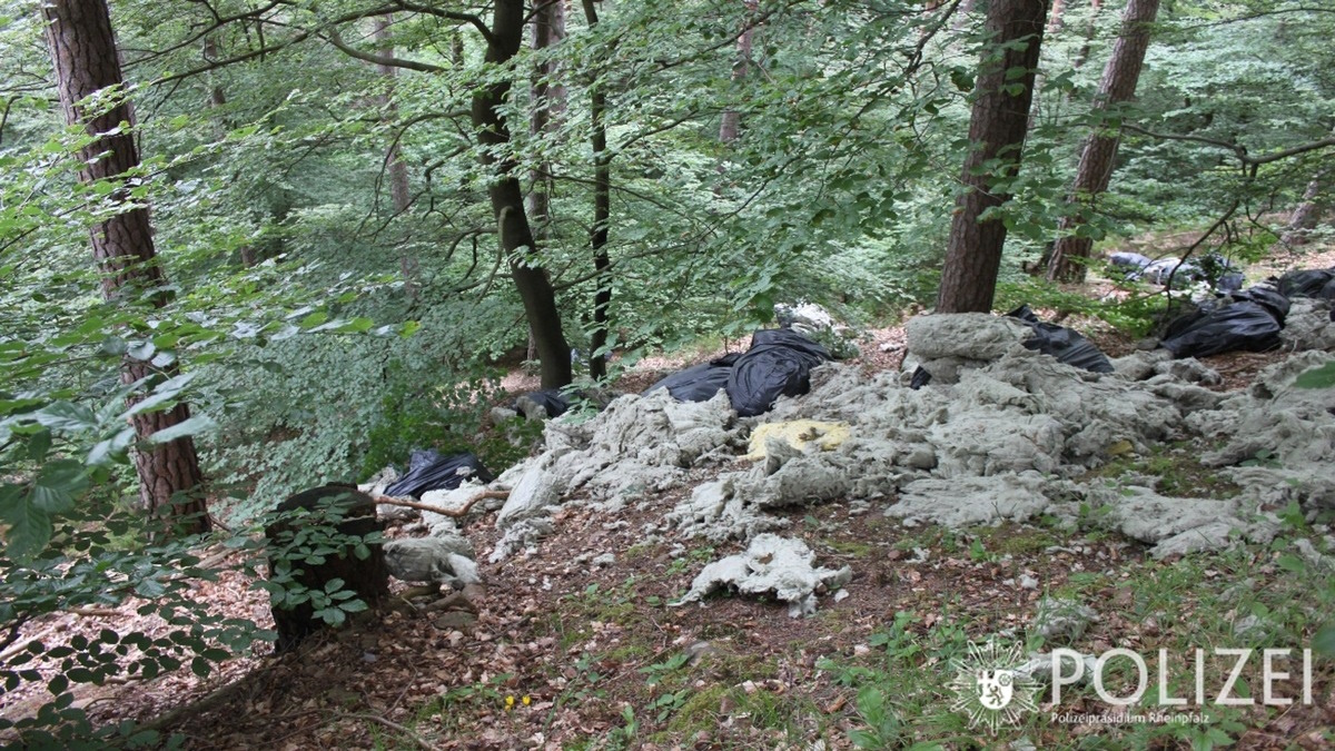 Neustadt – Müllablagerung im Wald bei Lindenberg – Zeugenaufruf