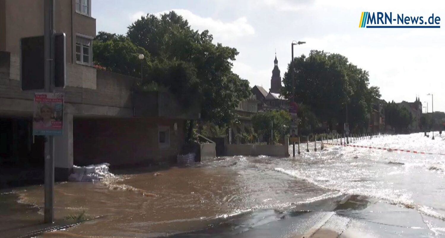 Heidelbergs Strategie gegen Hochwasser – OB Eckart Würzner erläutert (Video)